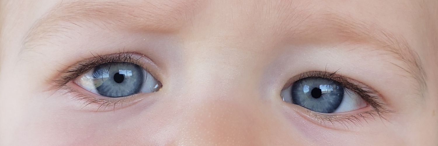 FlorGuerreraBra's profile banner image