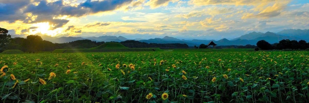 saitorikujyou's profile banner image