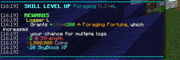 Incog banner