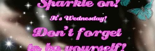 🦋 Sined 🦋 (Comms Open) banner