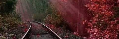 f90_wf's profile banner image