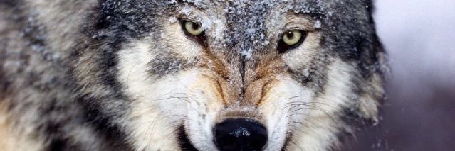 jwd_300's profile banner image