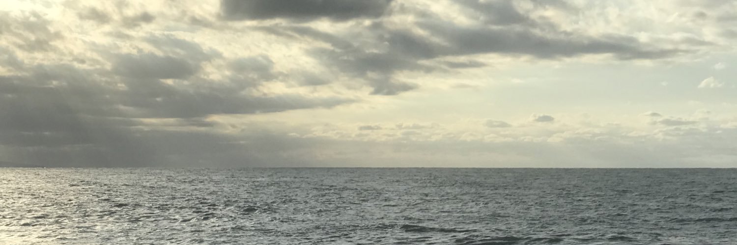 Fadeduspp's profile banner image