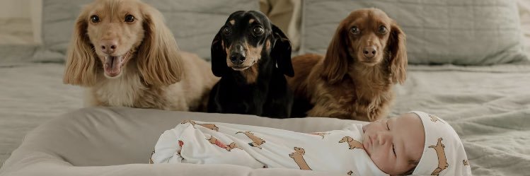 RealTylerDotson's profile banner image