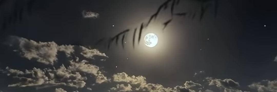 TheMirrorofH's profile banner image