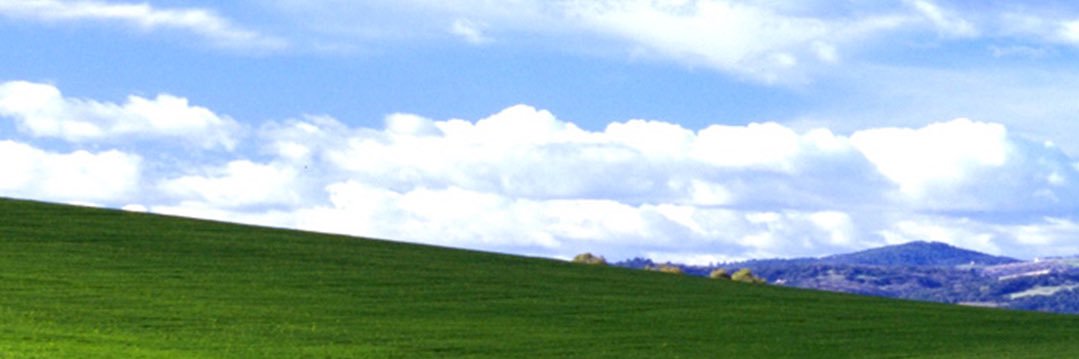 si_'s profile banner image