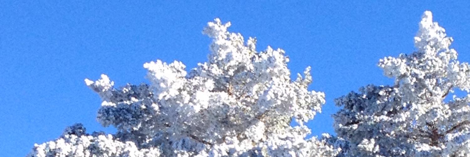 brighteffects's profile banner image