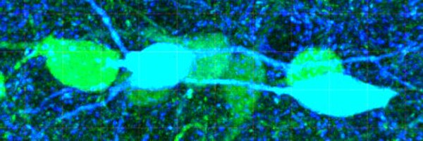 e_tsou Profile Banner