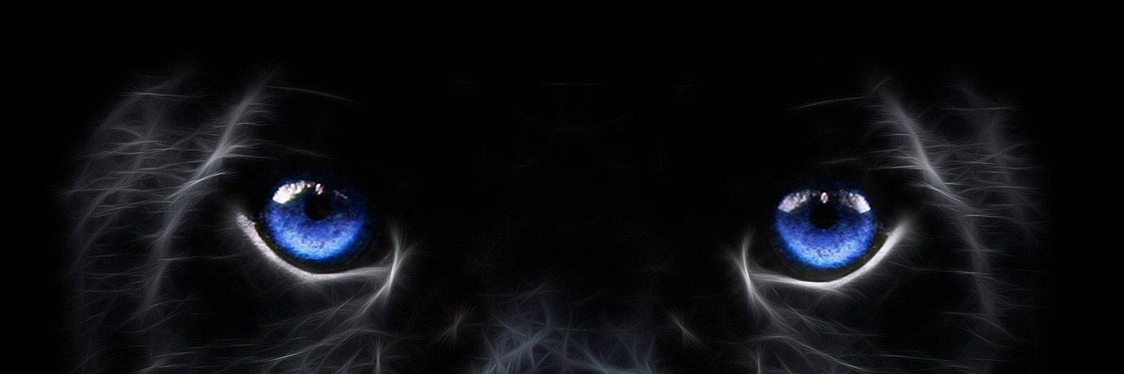 Gkanergin's profile banner image