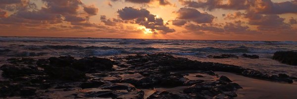 DanitheSett Profile Banner