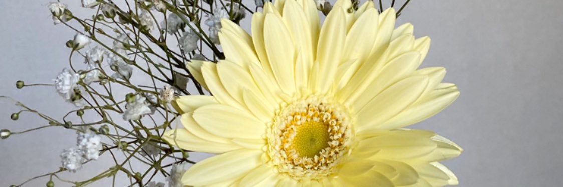 sarinah_aa's profile banner image
