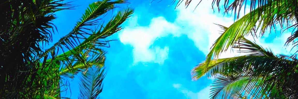 A_Lace's profile banner image