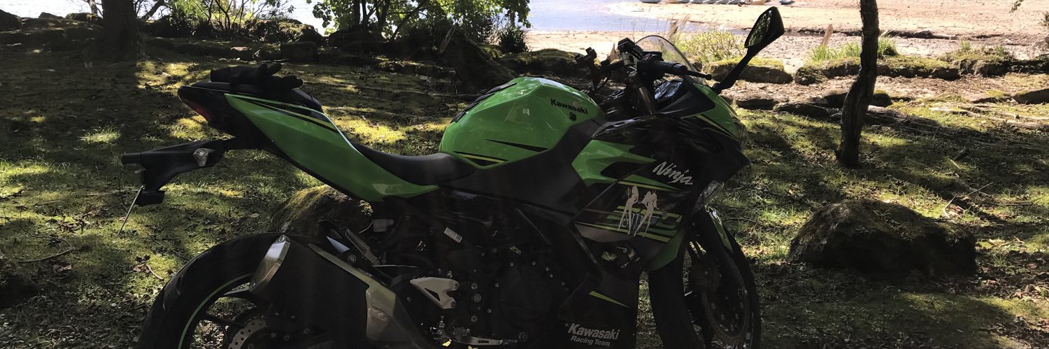 サクラモチノオー banner