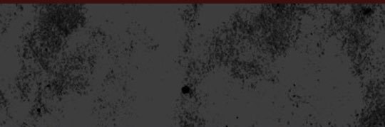 Billy Jensen's banner