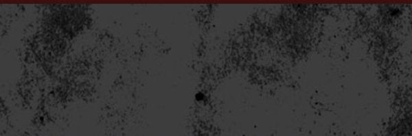 Billyjensen Profile Banner