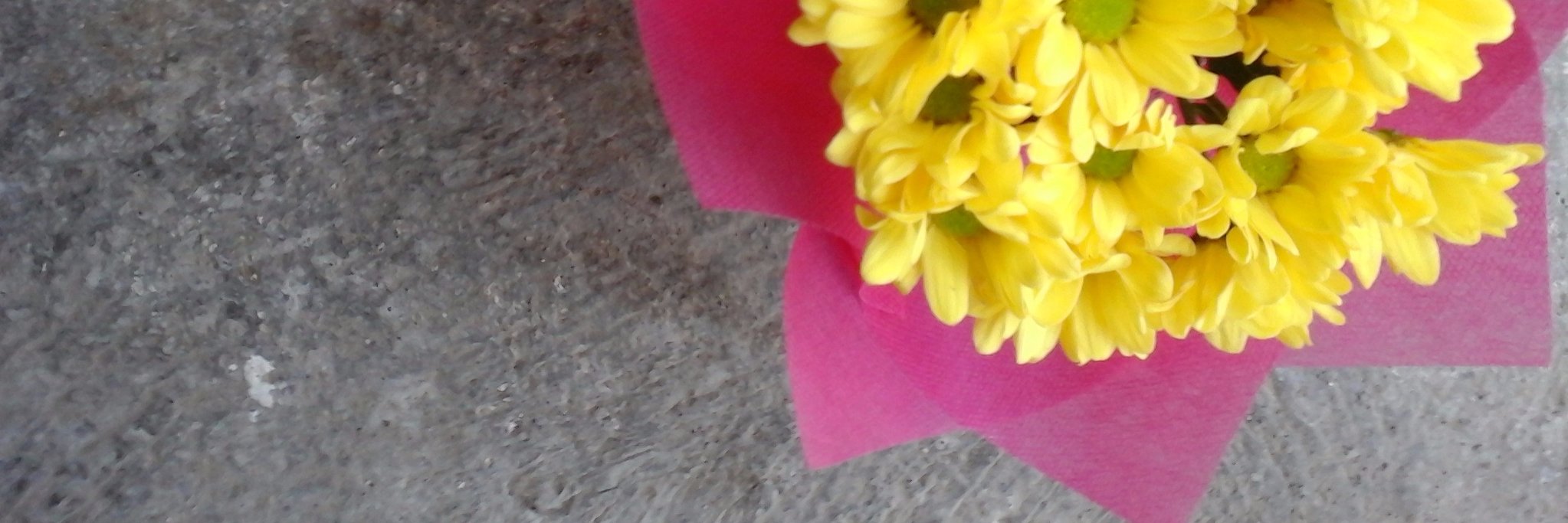 Rani banner