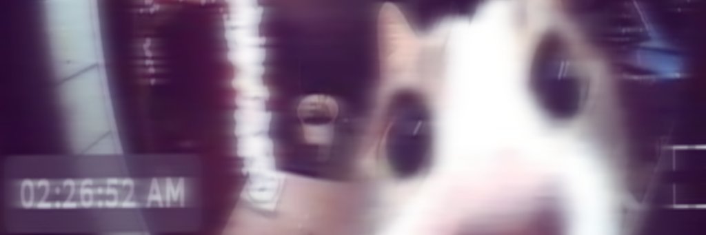 ݁ ˖Ი𐑼⋆ ࣪˖カルラִֶָ ִֶָ🐇་༘಄ banner