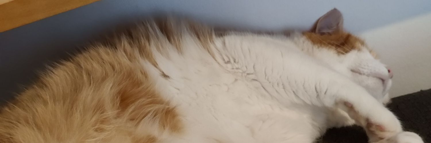 Ezeith's profile banner image