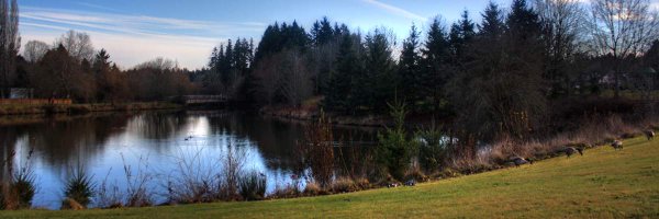 ZechMickel Profile Banner