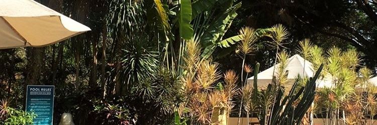 ikhadrf's profile banner image