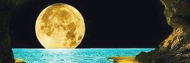 fani_632's profile banner image
