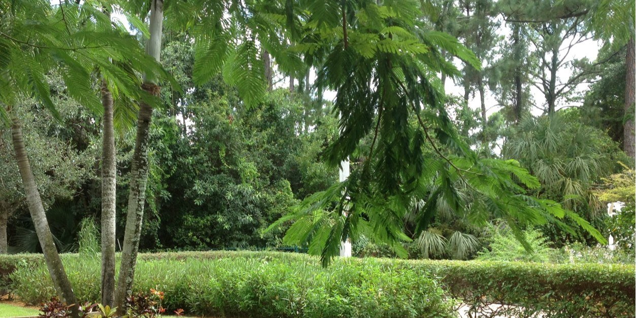 NBPS Lower School banner