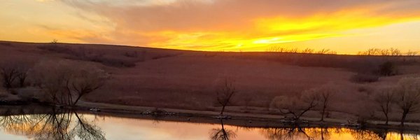 BandyBrenda Profile Banner