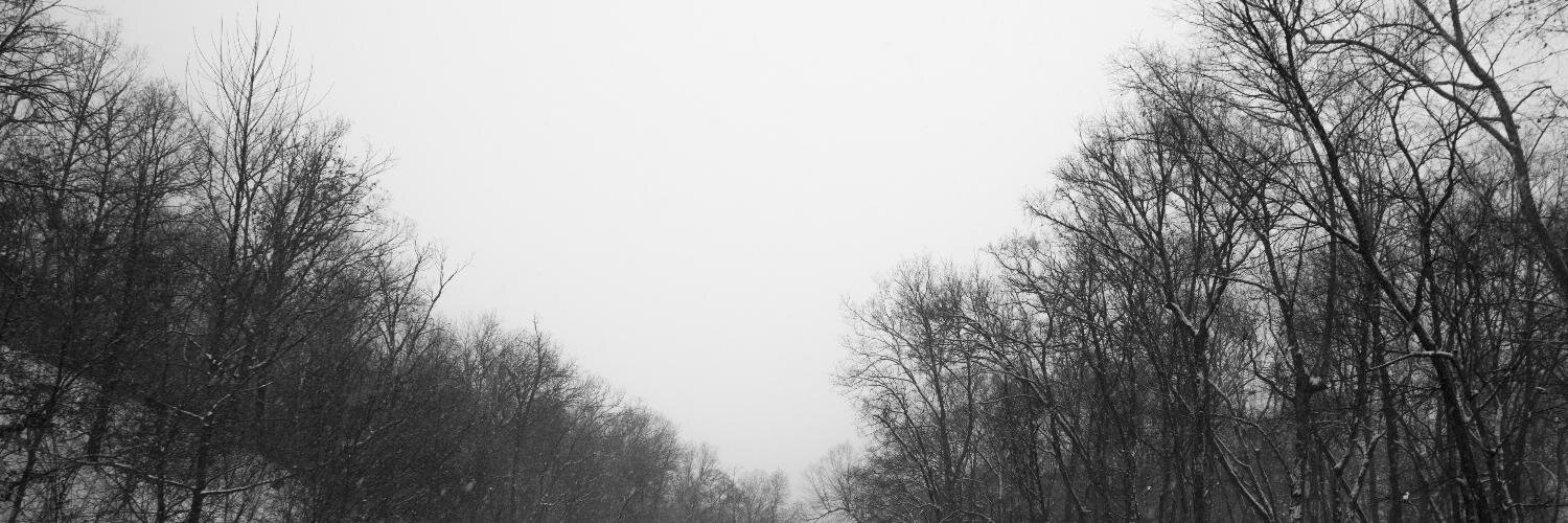 theysaybuild's profile banner image