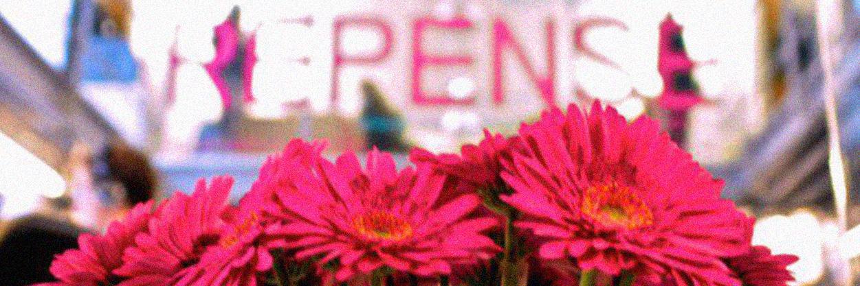 REPENSE's profile banner image