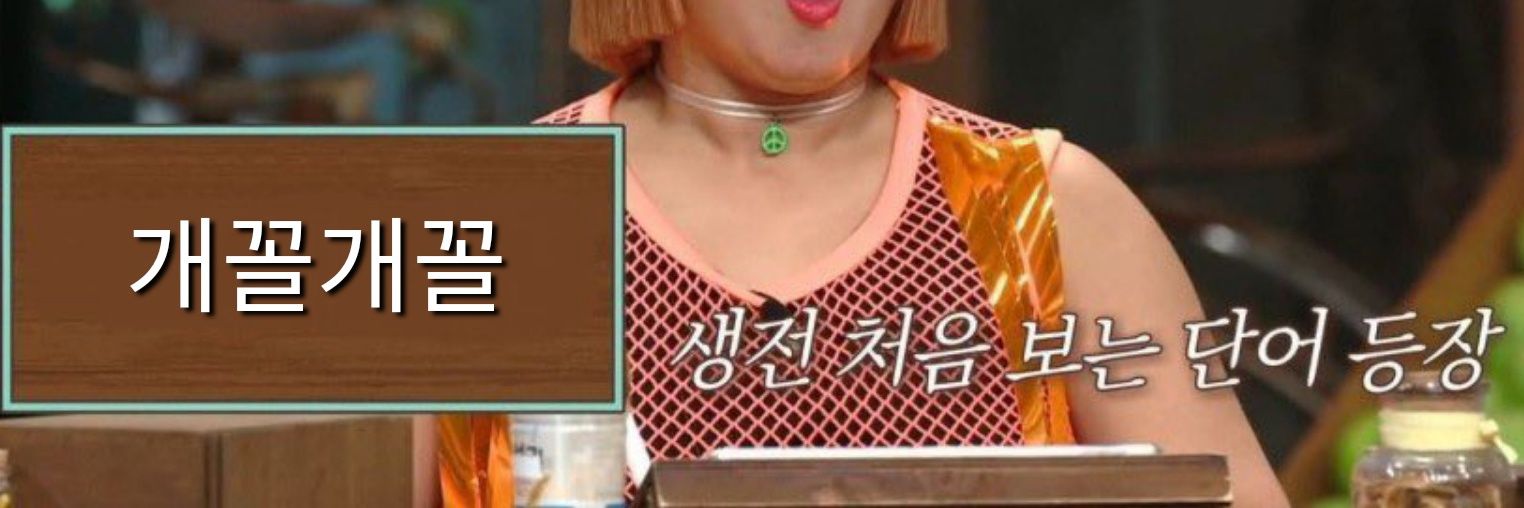 의지빈약 개구리🕯️ banner