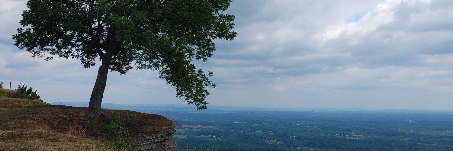 RebeccaBeiter's profile banner image