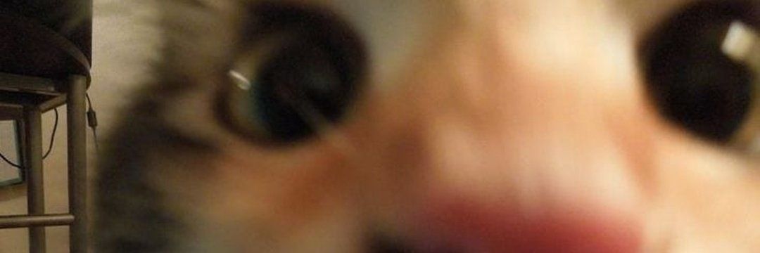 nuronnen's profile banner image