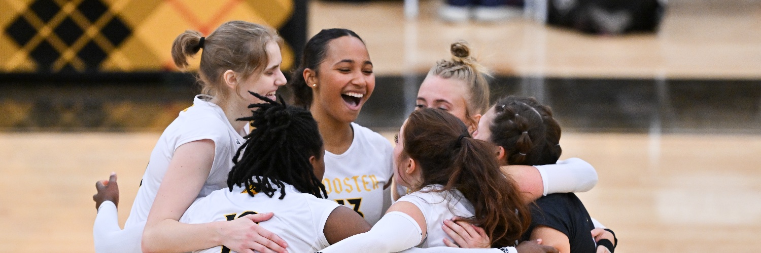 Wooster Volleyball banner