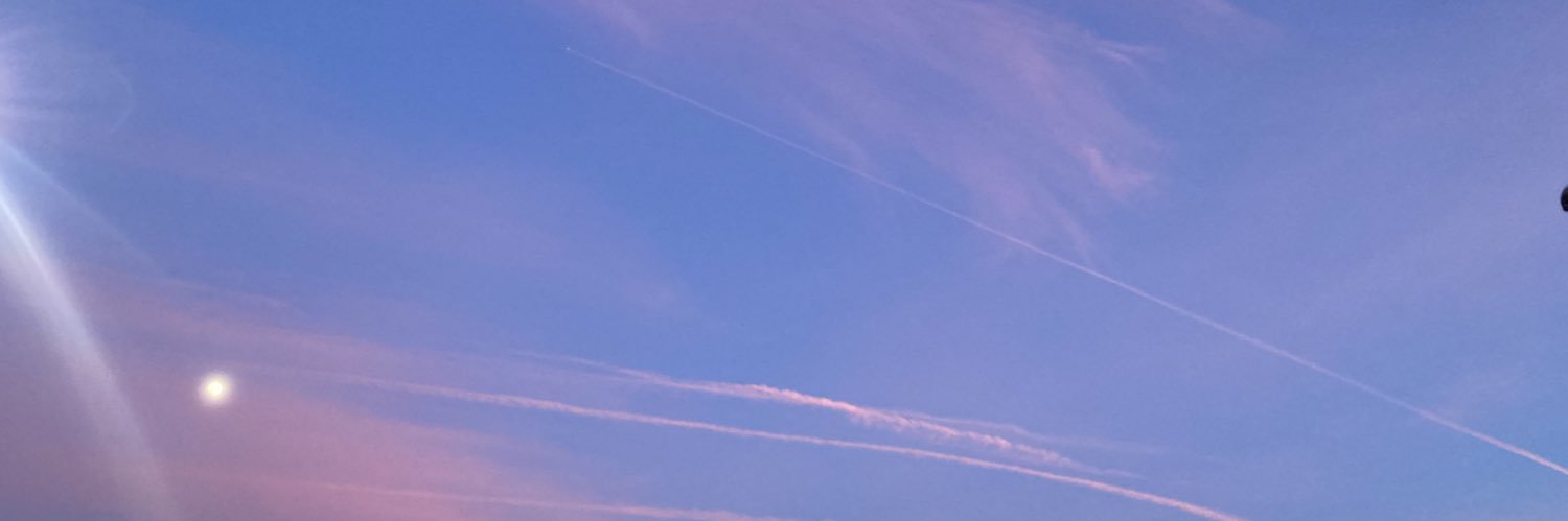 madrotz's profile banner image