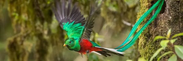 Axaxia88 Profile Banner