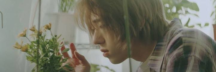 Shiraishi Itsumi banner