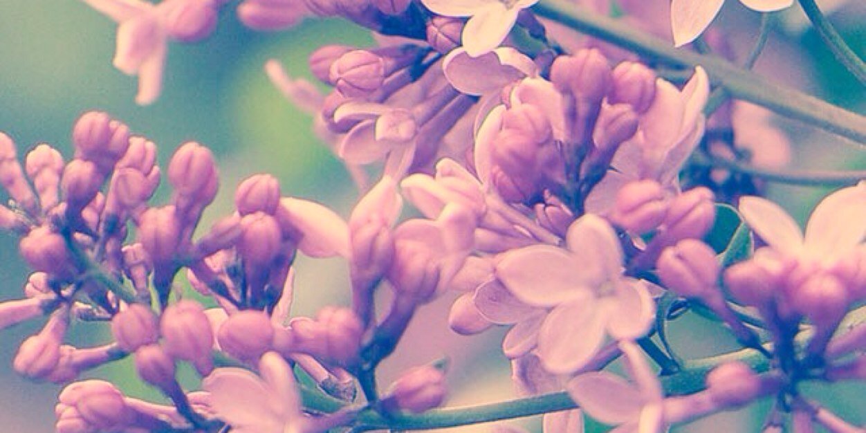 ariakeybler's profile banner image