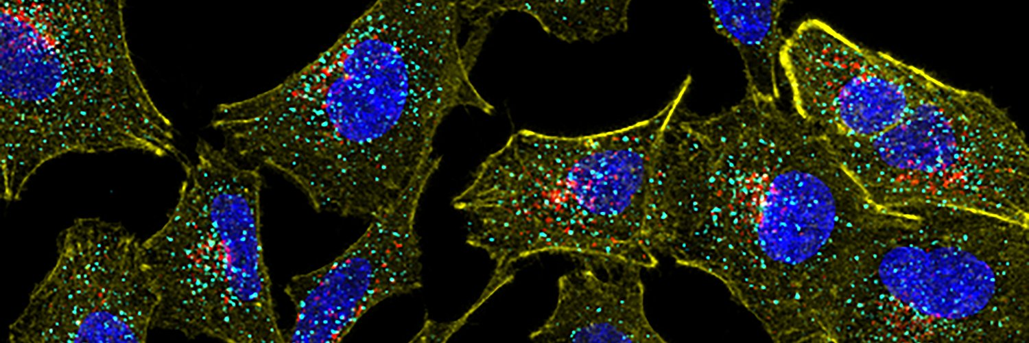 Cellular Virology Lab @ IISER Mohali banner
