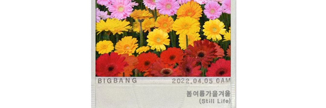 88GDYB88's profile banner image