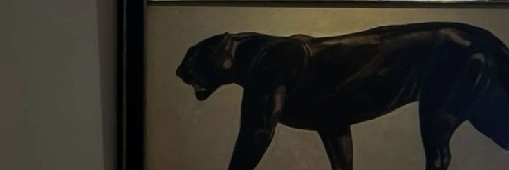 Classy_Paths's profile banner image