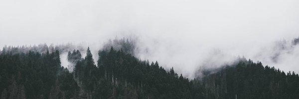 framolfese Profile Banner