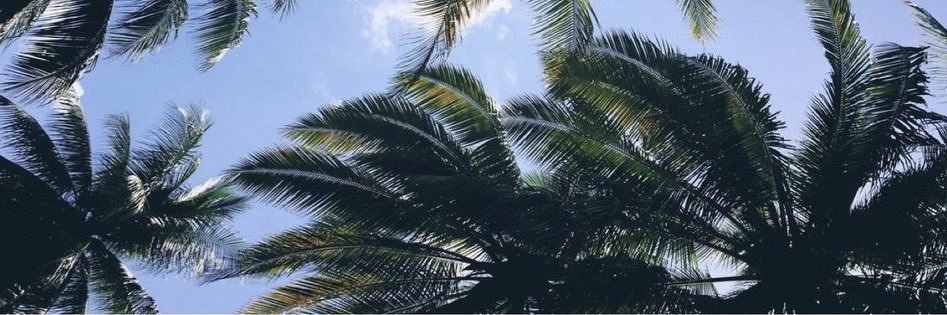 CaraCollison's profile banner image