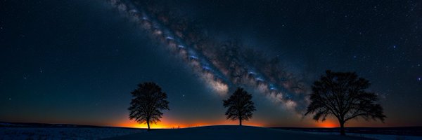 Artguyonthefly Profile Banner