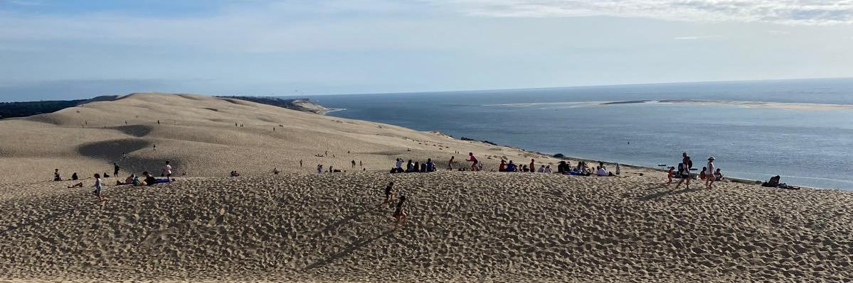 millerstillidie banner