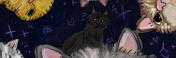 bbl4n's profile banner image