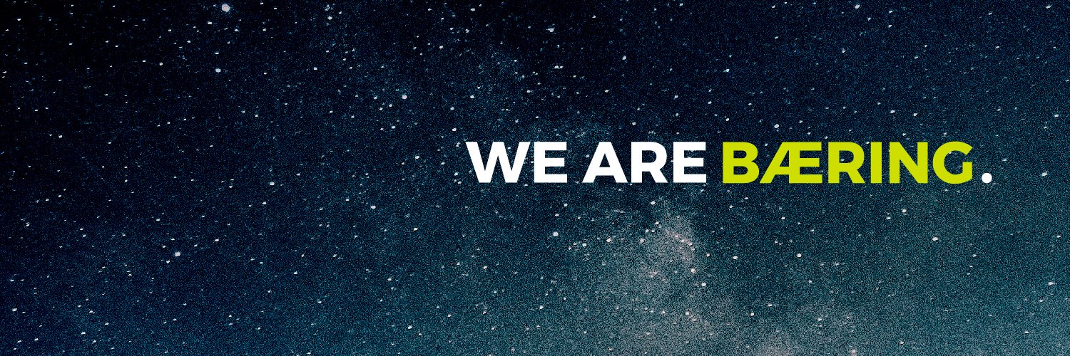 baeringgroup's profile banner image