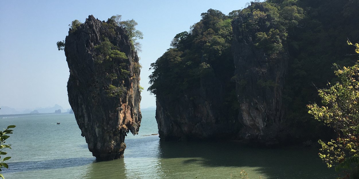 yellowpepper's profile banner image