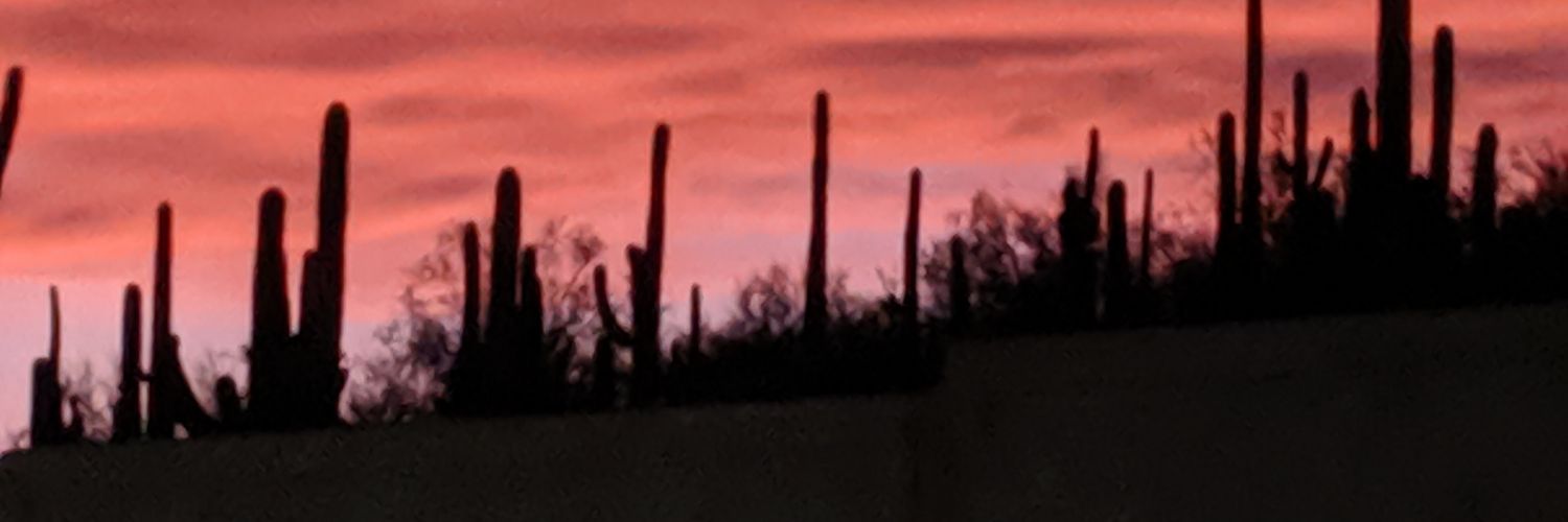 qwertybird's profile banner image