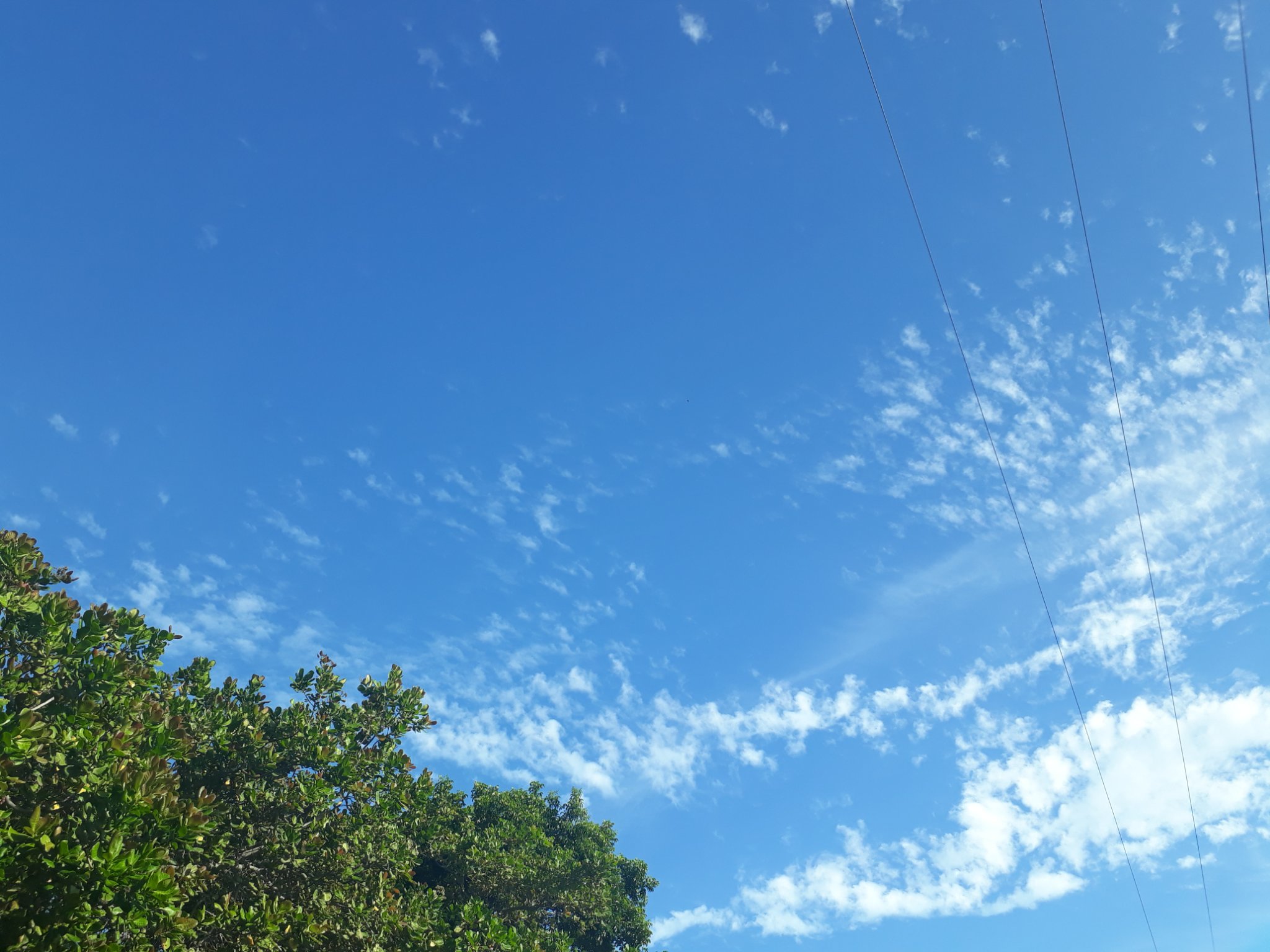 jls0_'s profile banner image