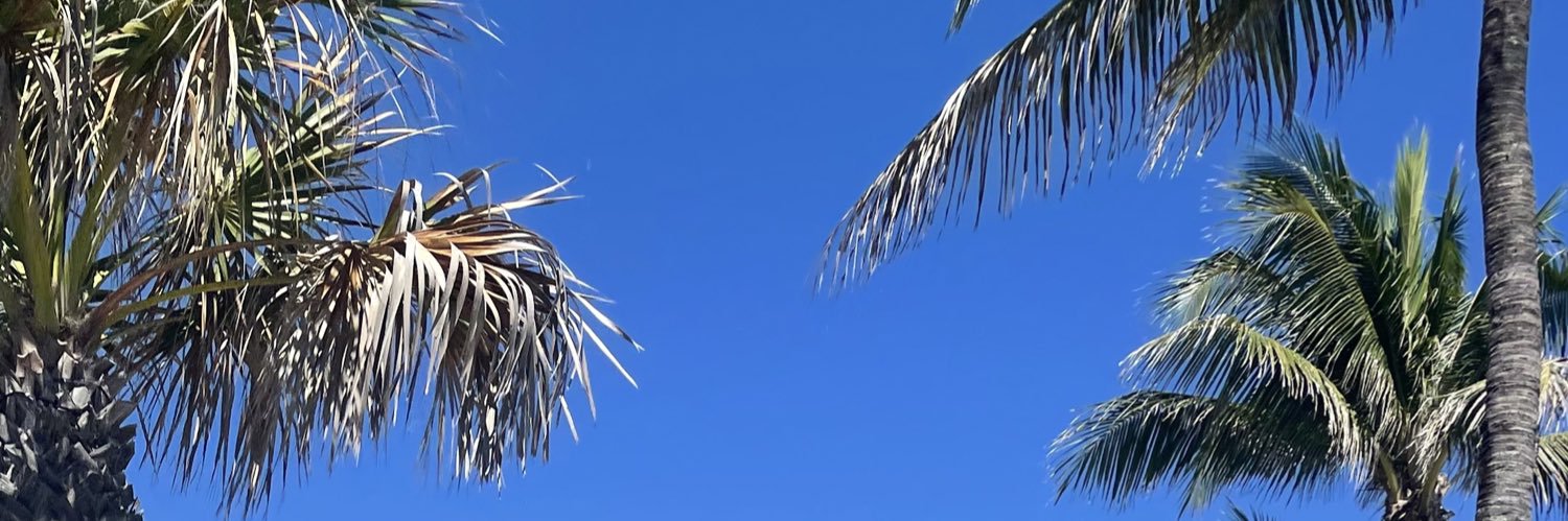 Christian James banner